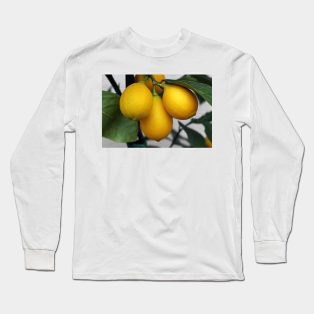 Lemons Long Sleeve T-Shirt by pinkal